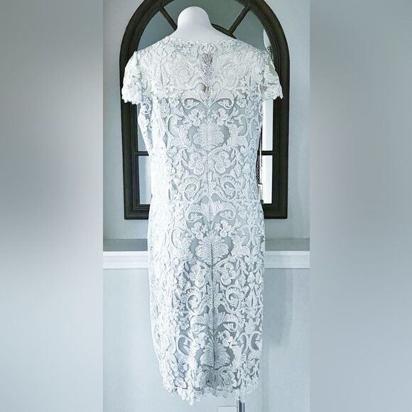 Tadashi Shoji Corded Lace Dress in Silver, NWT, Size 16 - Picture 5 of 8